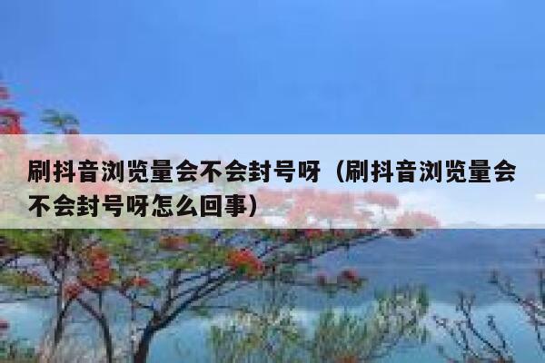 刷抖音浏览量会不会封号呀（刷抖音浏览量会不会封号呀怎么回事） 第1张