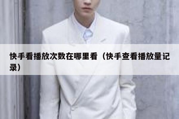 快手看播放次数在哪里看（快手查看播放量记录） 第1张