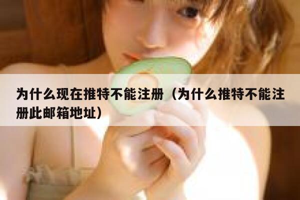 为什么现在推特不能注册（为什么推特不能注册此邮箱地址） 第1张