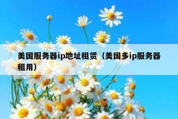 美国服务器ip地址租赁（美国多ip服务器租用） 第1张