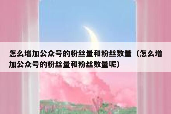 怎么增加公众号的粉丝量和粉丝数量（怎么增加公众号的粉丝量和粉丝数量呢） 第1张