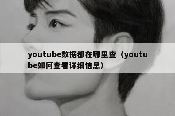 youtube数据都在哪里查（youtube如何查看详细信息） 第1张