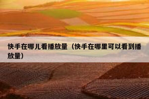 快手在哪儿看播放量（快手在哪里可以看到播放量） 第1张