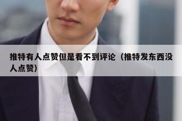 推特有人点赞但是看不到评论（推特发东西没人点赞） 第1张