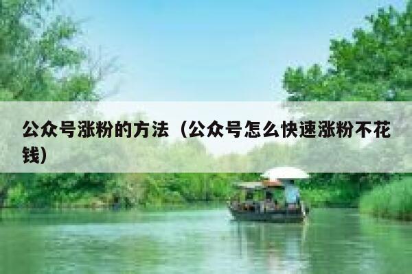 公众号涨粉的方法（公众号怎么快速涨粉不花钱） 第1张
