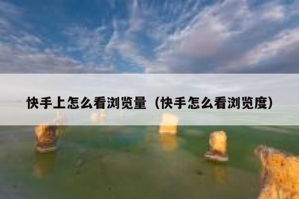快手上怎么看浏览量（快手怎么看浏览度） 第1张
