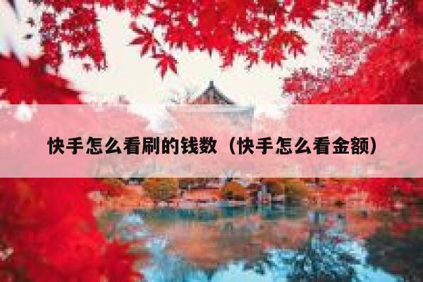 快手怎么看刷的钱数（快手怎么看金额） 第1张