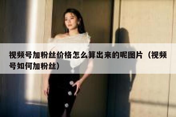 视频号加粉丝价格怎么算出来的呢图片（视频号如何加粉丝） 第1张