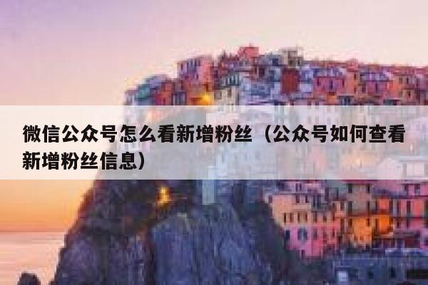 微信公众号怎么看新增粉丝（公众号如何查看新增粉丝信息） 第1张