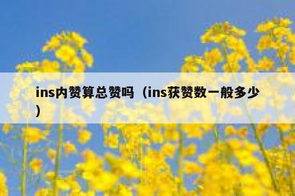 ins内赞算总赞吗（ins获赞数一般多少） 第1张