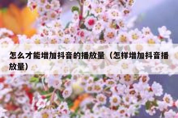 怎么才能增加抖音的播放量（怎样增加抖音播放量） 第1张