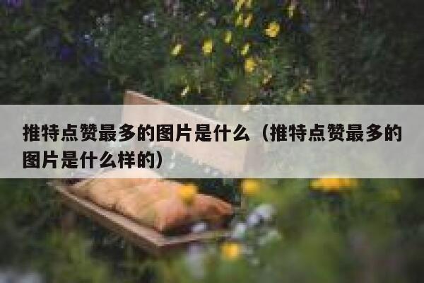 推特点赞最多的图片是什么（推特点赞最多的图片是什么样的） 第1张