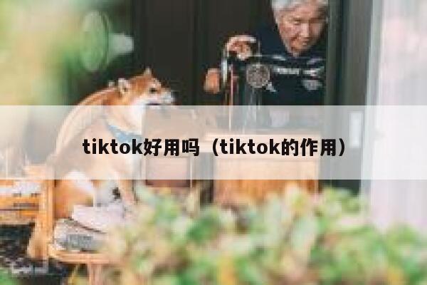 tiktok好用吗（tiktok的作用） 第1张