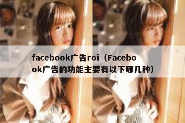 facebook广告roi（Facebook广告的功能主要有以下哪几种） 第1张