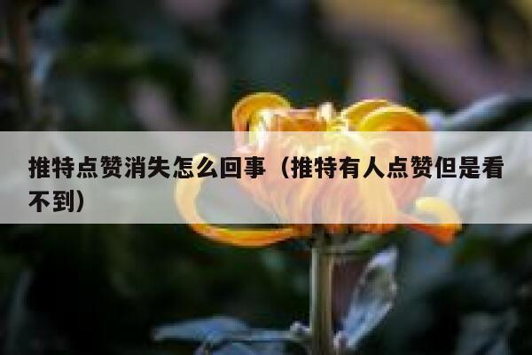 推特点赞消失怎么回事（推特有人点赞但是看不到） 第1张