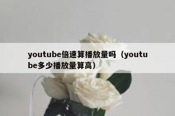 youtube倍速算播放量吗（youtube多少播放量算高） 第1张