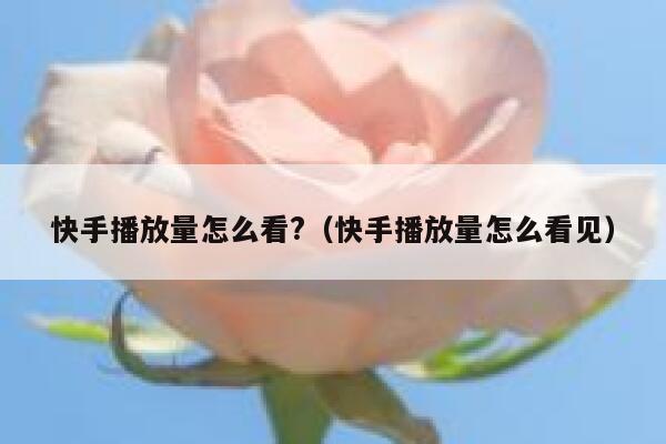快手播放量怎么看?（快手播放量怎么看见） 第1张