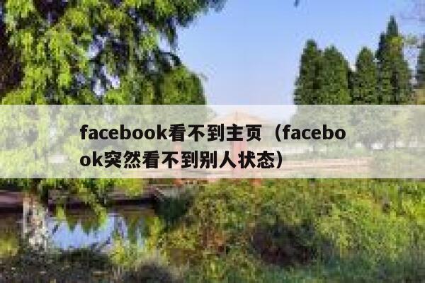 facebook看不到主页（facebook突然看不到别人状态） 第1张
