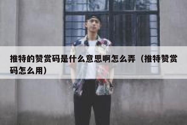 推特的赞赏码是什么意思啊怎么弄（推特赞赏码怎么用） 第1张