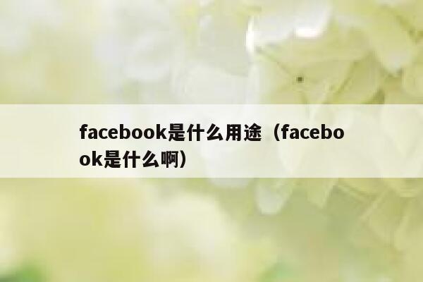 facebook是什么用途（facebook是什么啊） 第1张