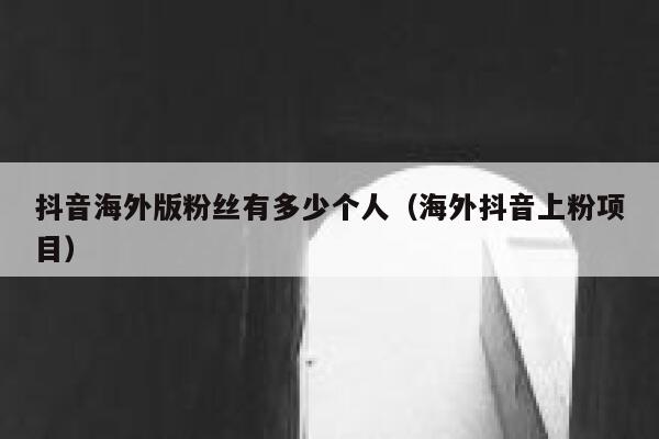 抖音海外版粉丝有多少个人（海外抖音上粉项目） 第1张