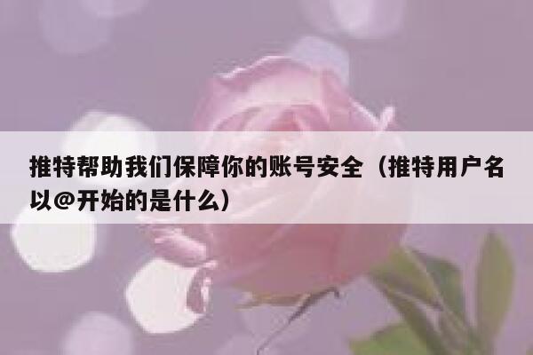 推特帮助我们保障你的账号安全（推特用户名以@开始的是什么） 第1张