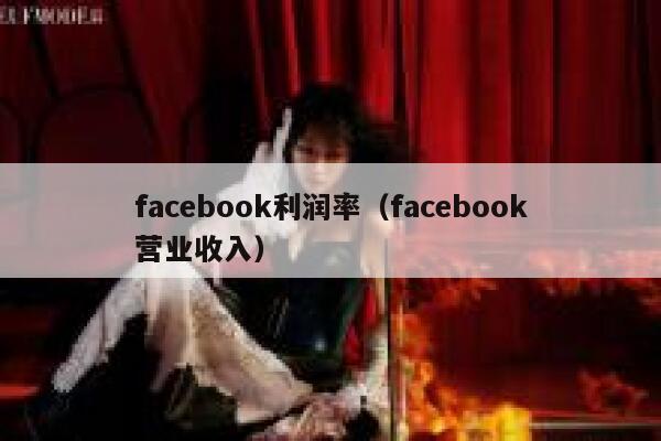 facebook利润率（facebook营业收入） 第1张
