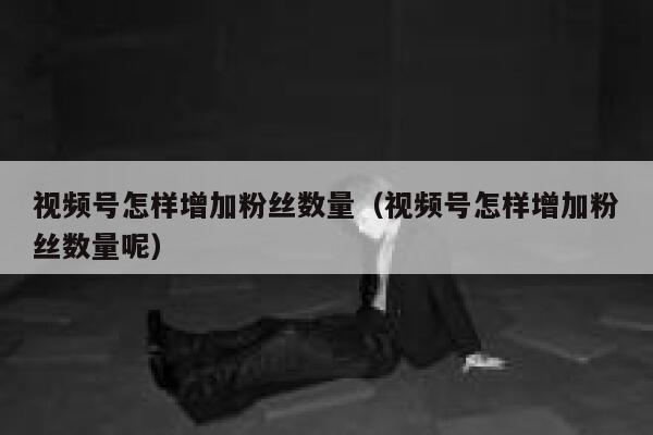 视频号怎样增加粉丝数量（视频号怎样增加粉丝数量呢） 第1张