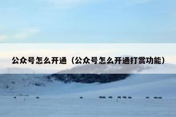 公众号怎么开通（公众号怎么开通打赏功能） 第1张