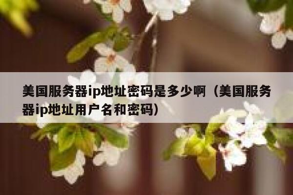 美国服务器ip地址密码是多少啊（美国服务器ip地址用户名和密码） 第1张