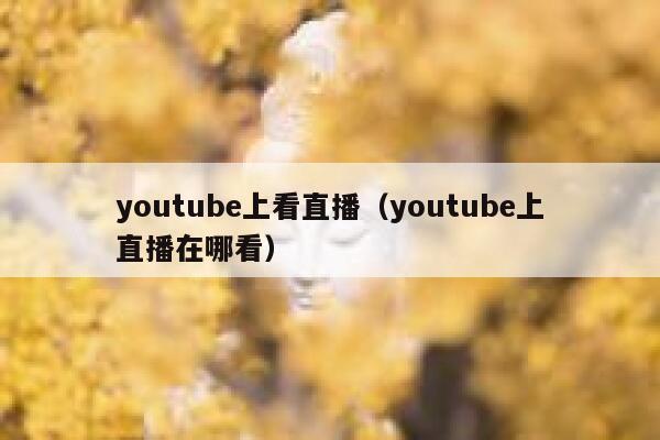 youtube上看直播（youtube上直播在哪看） 第1张