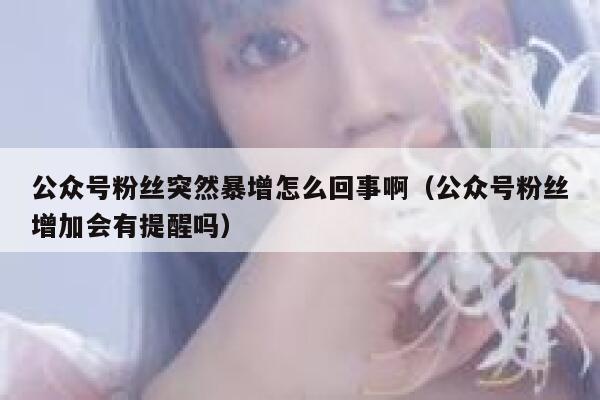 公众号粉丝突然暴增怎么回事啊（公众号粉丝增加会有提醒吗） 第1张