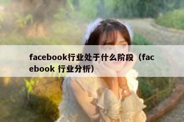 facebook行业处于什么阶段（facebook 行业分析） 第1张