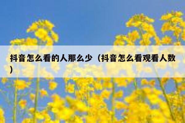 抖音怎么看的人那么少（抖音怎么看观看人数） 第1张