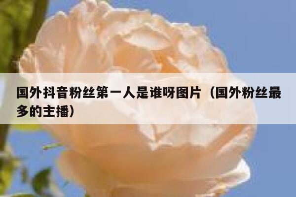 国外抖音粉丝第一人是谁呀图片（国外粉丝最多的主播） 第1张