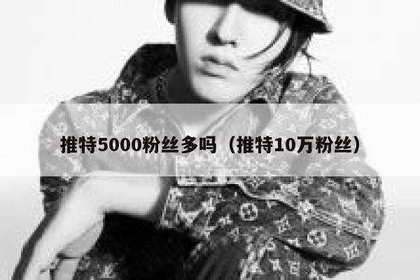 推特5000粉丝多吗（推特10万粉丝） 第1张