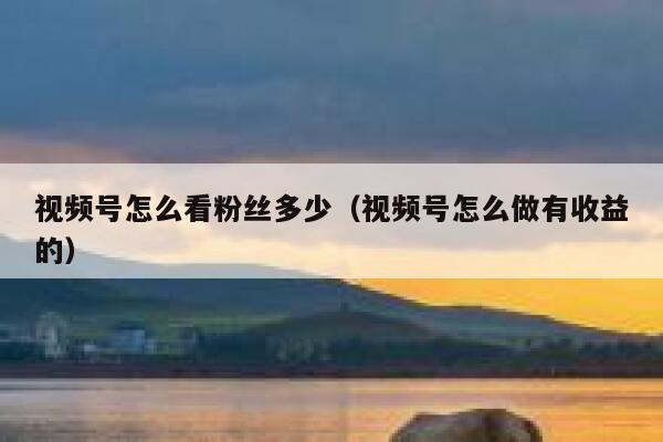 视频号怎么看粉丝多少（视频号怎么做有收益的） 第1张