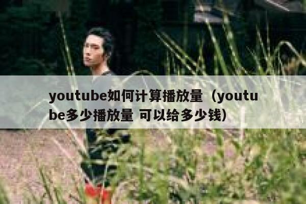 youtube如何计算播放量（youtube多少播放量 可以给多少钱） 第1张