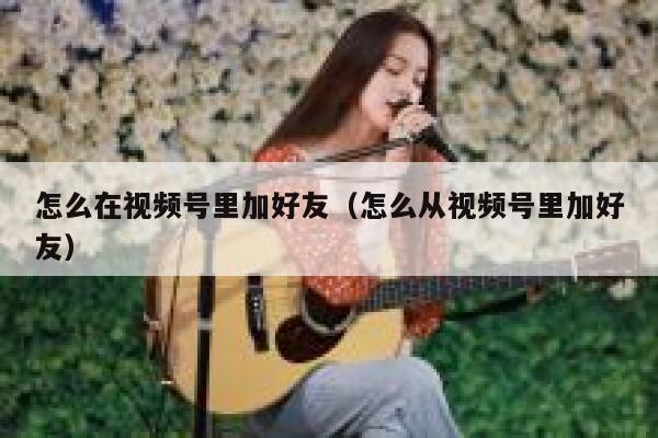 怎么在视频号里加好友（怎么从视频号里加好友） 第1张