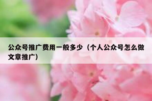 公众号推广费用一般多少（个人公众号怎么做文章推广） 第1张