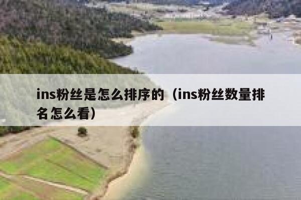 ins粉丝是怎么排序的（ins粉丝数量排名怎么看） 第1张
