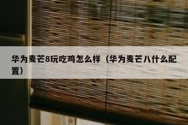 华为麦芒8玩吃鸡怎么样（华为麦芒八什么配置） 第1张