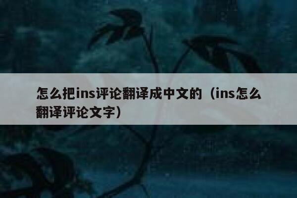 怎么把ins评论翻译成中文的（ins怎么翻译评论文字） 第1张