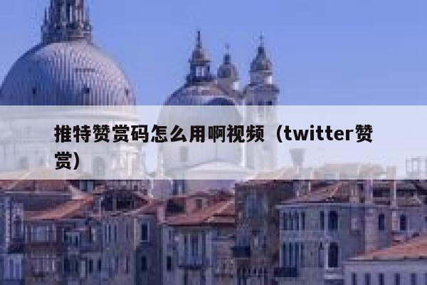 推特赞赏码怎么用啊视频（twitter赞赏） 第1张