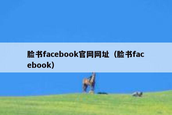 脸书facebook官网网址（脸书facebook） 第1张