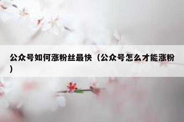 公众号如何涨粉丝最快（公众号怎么才能涨粉） 第1张