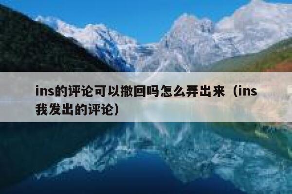 ins的评论可以撤回吗怎么弄出来（ins我发出的评论） 第1张