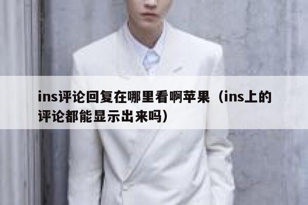 ins评论回复在哪里看啊苹果（ins上的评论都能显示出来吗） 第1张