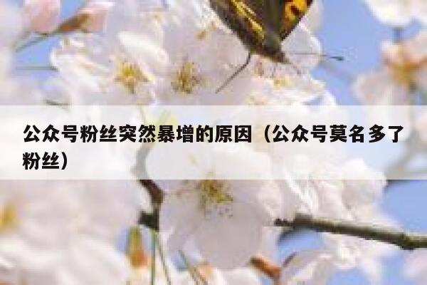 公众号粉丝突然暴增的原因（公众号莫名多了粉丝） 第1张