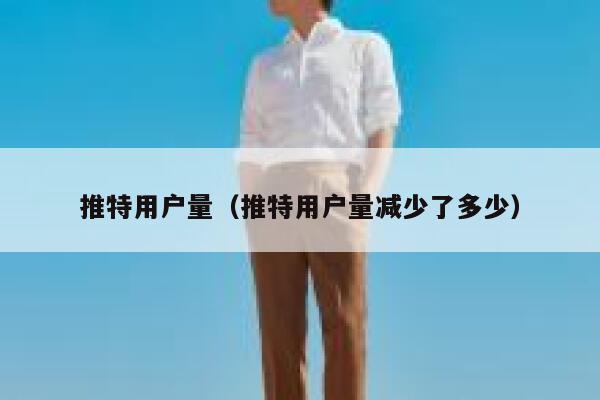 推特用户量（推特用户量减少了多少） 第1张